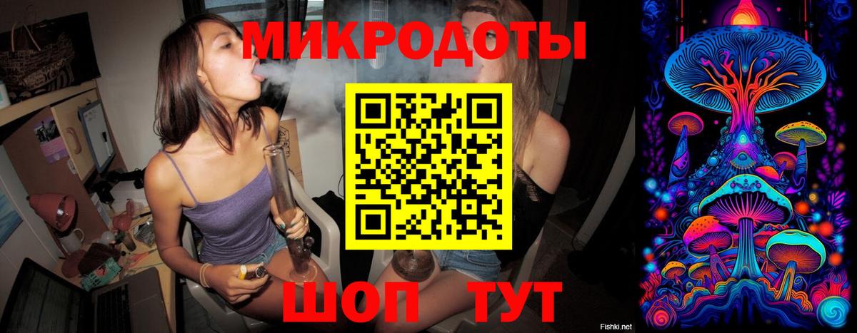 Псилоцибиновые грибы мицелий Лесной